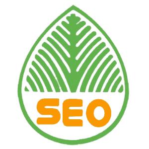 绵阳提升网站移动适配的注意事项